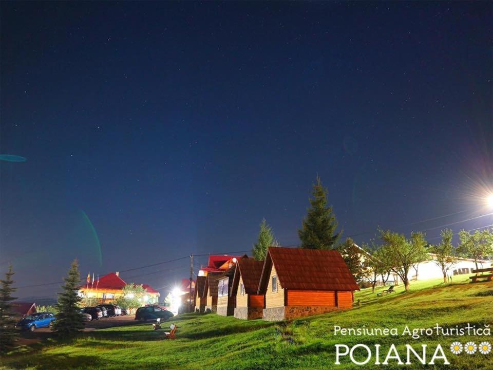 Pensiunea Agroturistica Poiana 波伊亚纳内戈利 外观 照片